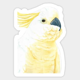 watercolor yellow-crested cockatoo portrait painting parrot Sticker